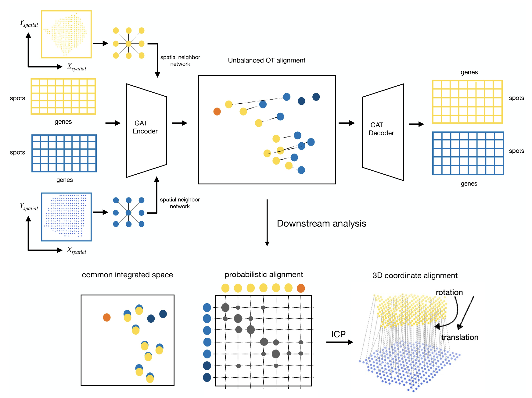 Graspot: A graph attention network for spatial transcriptomics data integration with optimal transport