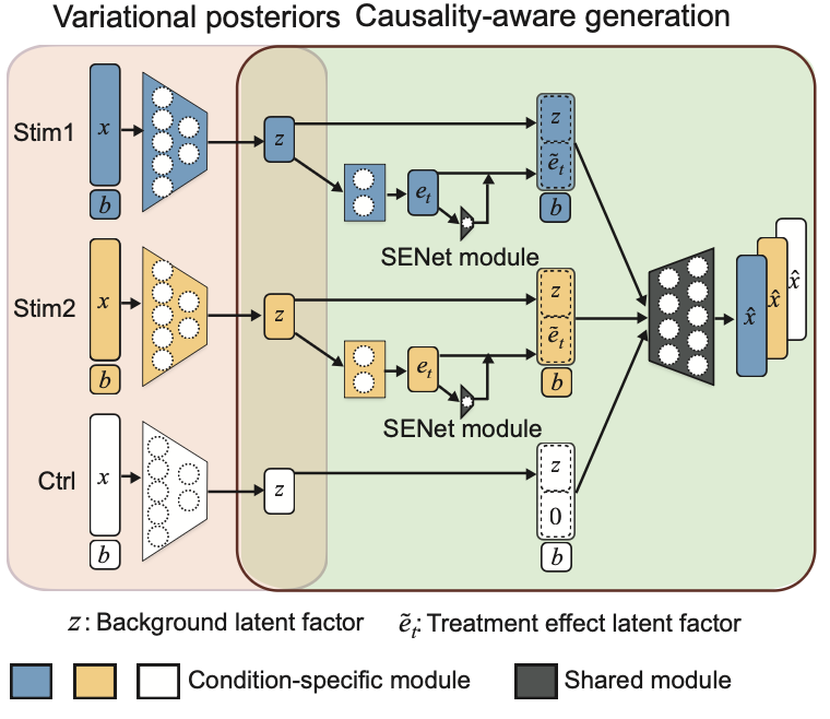 scCausalVI disentangles single-cell perturbation responses with causality-aware generative model